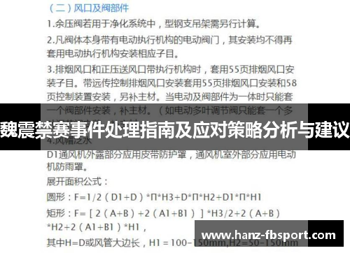 魏震禁赛事件处理指南及应对策略分析与建议