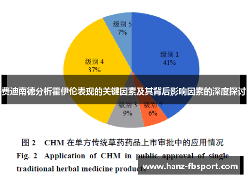 费迪南德分析霍伊伦表现的关键因素及其背后影响因素的深度探讨